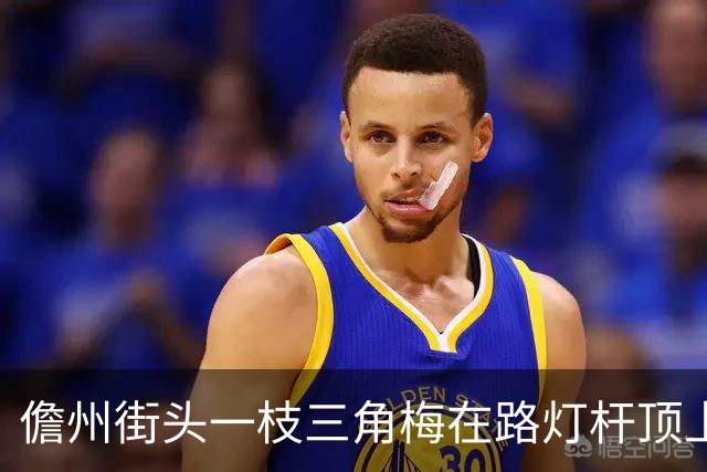 儋州街头一枝三角梅在路灯杆顶上开花,被赞“全网最努力”,园林管理局:其生长状况良好