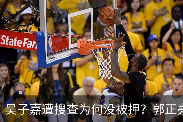 吴子嘉遭搜查为何没被押?郭正亮曝绝食抗议内幕:台检方碰到狠人