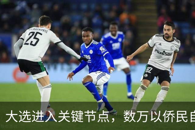 大选进入关键节点，数万以侨民自费回国，跨洋投票希望推翻现政府