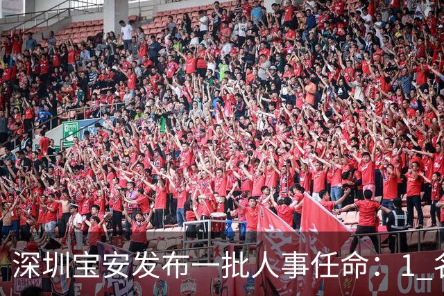 深圳宝安发布一批人事任命:1 名副区长、21 名局长
