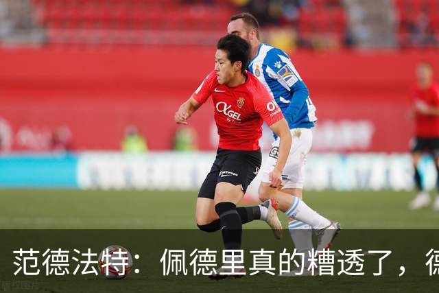 范德法特：佩德里真的糟透了，德容没有必要害怕竞争